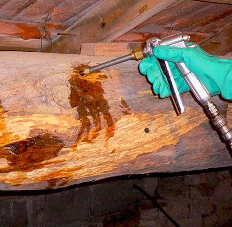 Traitement des bois de charpente - MEUCHE Couverture - artisan charpentier en Île-de-France dans le Val-d’Oise 95 - Nous intervenons préventivement et curativement pour tous vos traitements de bois de charpente contre les champignons lignivores - MEUCHE COUVERTURE en Île-de-France dans le Val-d’Oise 95